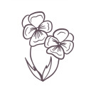 theres-pansies avatar