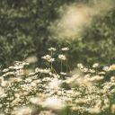 theresbonesinmybones avatar