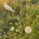 therescoffeeeinthatnebula avatar