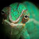 theresnocureforcuriosity avatar