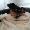 theresonly1ashley avatar