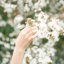 therestlessforest avatar