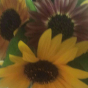 therewillcomesoftrain avatar