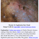 therhetorician avatar