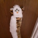 thericeballofcamelot avatar