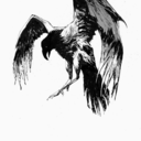 therighthandedchronicles avatar