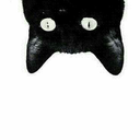 theroad-so-far avatar