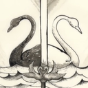 therookieking412 avatar