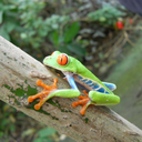 therootbeersprite avatar