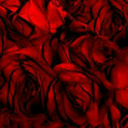 theruinedrose avatar