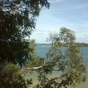 therumour2014-blog avatar