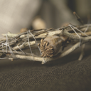 therustybones avatar