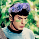 thesadchicken avatar