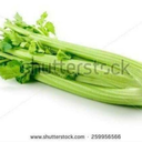 thesaddestchickennuggetofthemall avatar