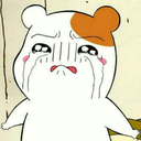 thesandwichperfect avatar