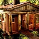 thesapphicstripper avatar