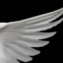 thesarcastichamster avatar