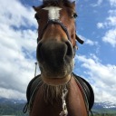 thesassycoquelicot avatar