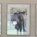 thesaurussrex avatar