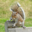 thescentofsummerrain avatar