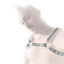 thescienceofsirsteve avatar