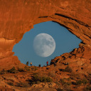 thescooby-gang avatar