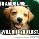 thescruffyborkenboof avatar