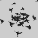 these-sacred-walls avatar