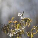 these-temporary-thoughts avatar