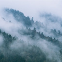 these-words-speak-to-me avatar