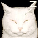 thesearchlights avatar