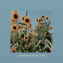 thesearemythoughts avatar