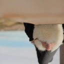 thesearewordsthatgotogetherwelll avatar