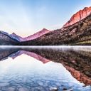 thesecretgardn avatar