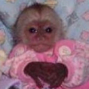 thesecretlifeofasatanist avatar