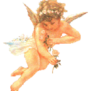 thesecretsgarden avatar