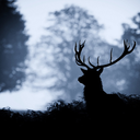 thesecretsofakid avatar