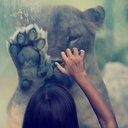 thesecretunicorn avatar