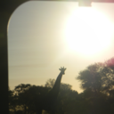 theseheredays avatar