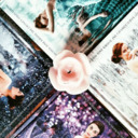 theselectionselectioners avatar