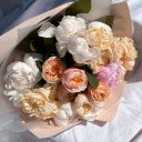 thesense-oflife avatar