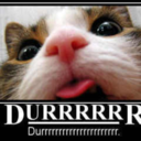 thesepicswillmakeyoulaugh-blog avatar