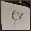 theserenityinviolence avatar