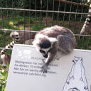 thesesmalldelights avatar