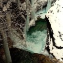 theseventhlion avatar