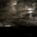 theshadowland avatar