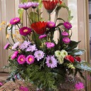 theshadows-world avatar