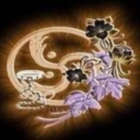 theshaykh-blog-blog avatar