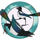 theshinymagpies avatar