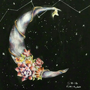 theshinymoon avatar